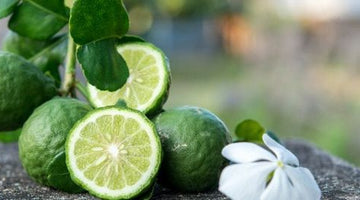 Recettes DIY à la bergamote et au citrus